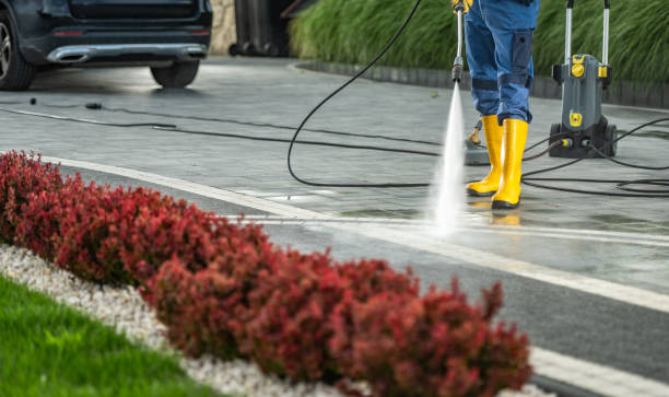 Best Roof Power Washing Services  in Weslaco, TX