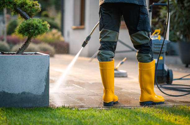 Best Exterior Home Cleaning  in Weslaco, TX